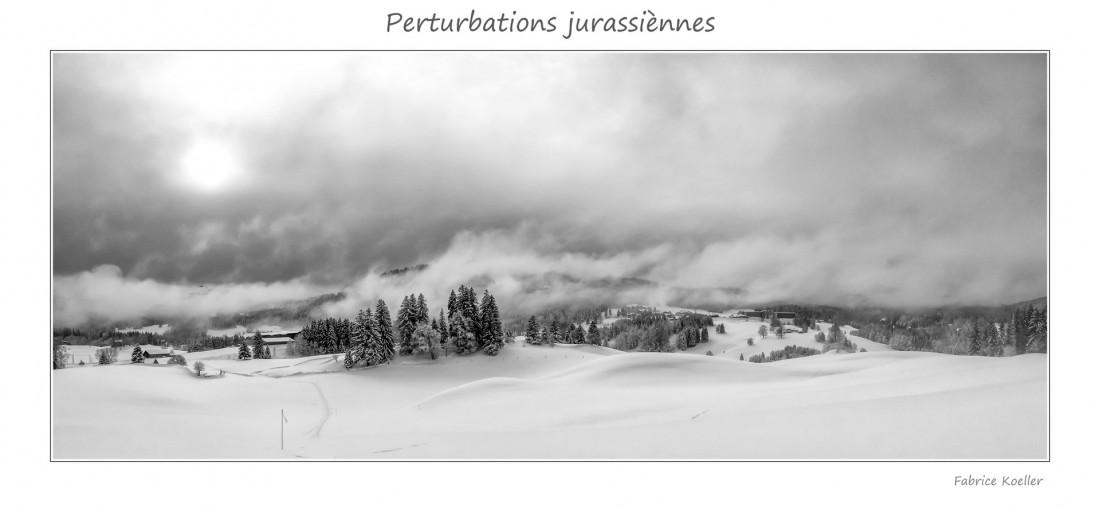 Under The Sign Of The White Rose Photo-Image