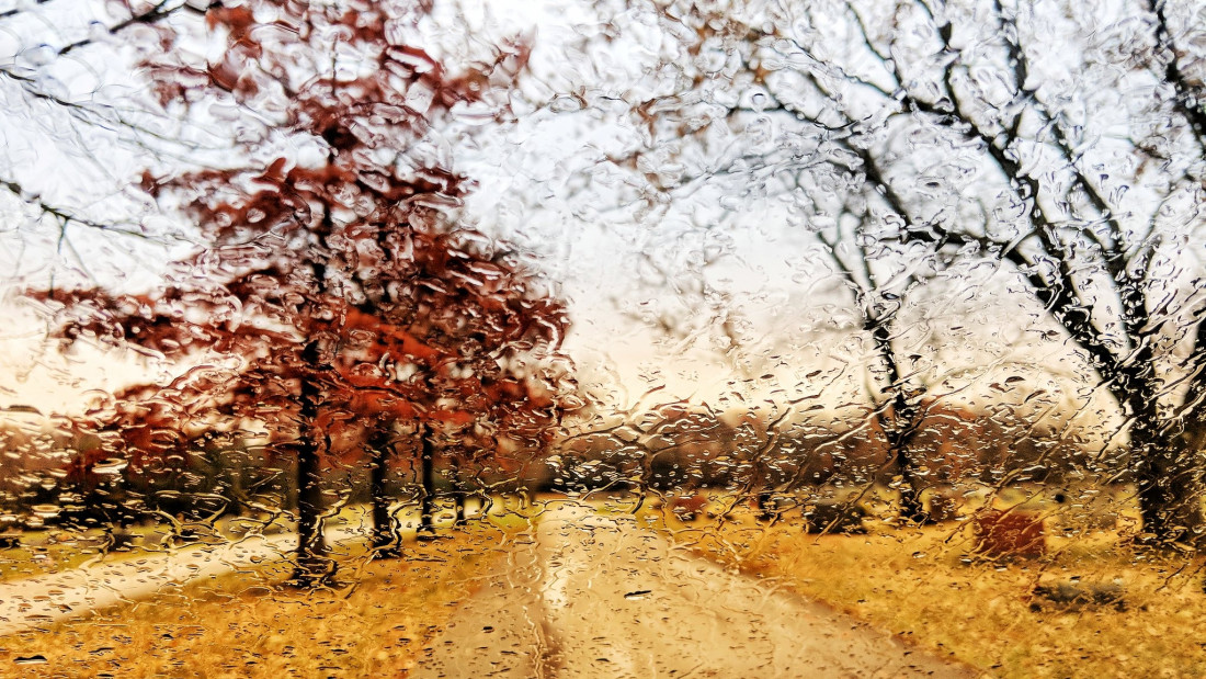 Flicker Image 4 Photo-Image