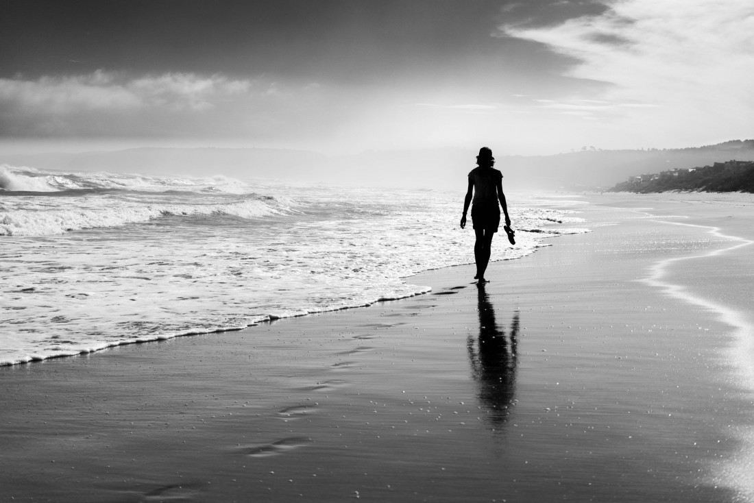 Under The Sign Of The White Rose Photo-Image