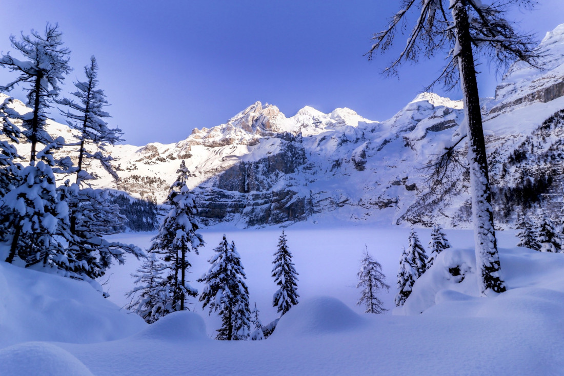 Sylvia Furrer 2 Photo-Image