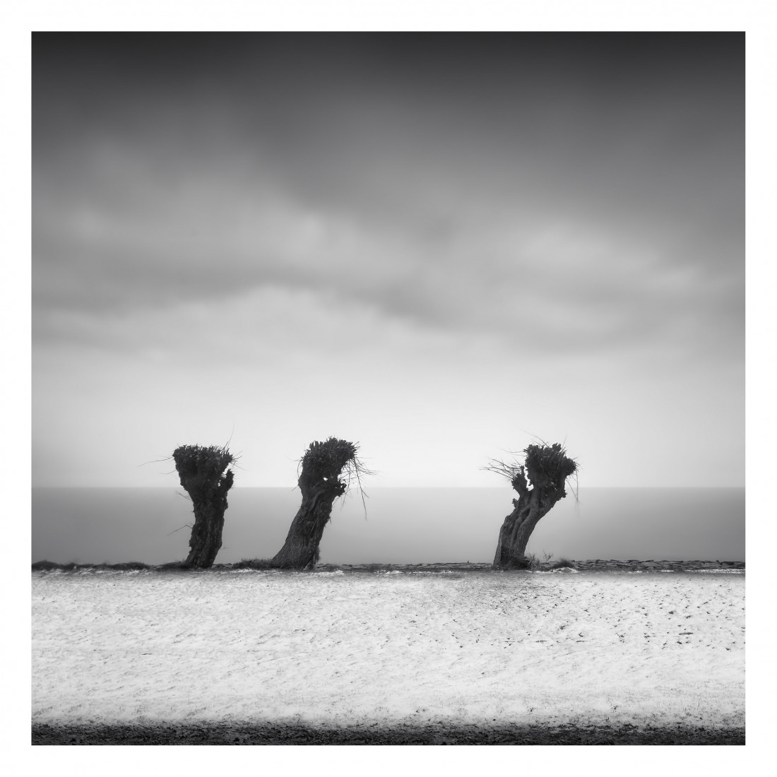 Marco Maljaars (flickr) Photo-Image