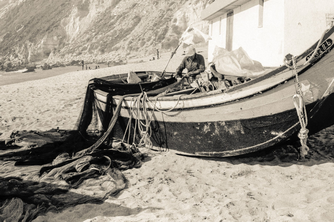 Flickr Image 1 Photo-Image