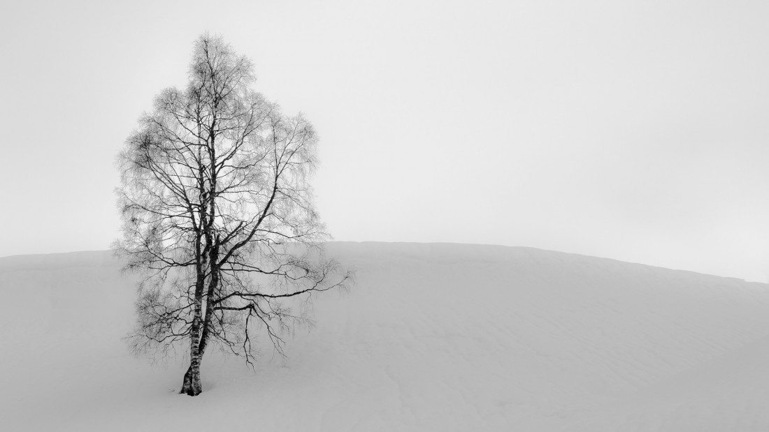 Flicker Image 3 Photo-Image