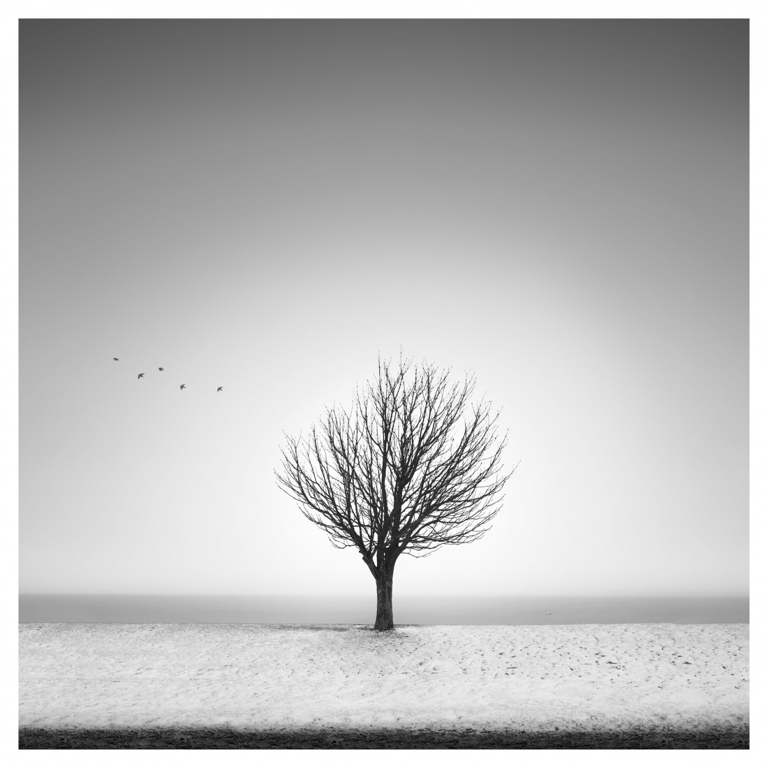 Marco Maljaars (flickr) Photo-Image