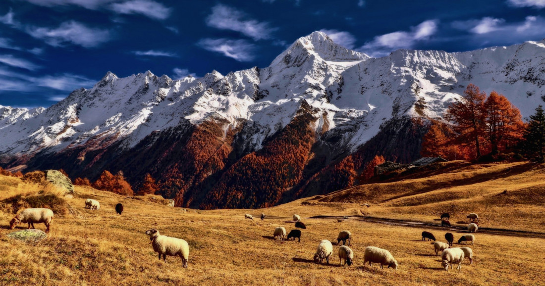 Sylvia Furrer 2 Photo-Image