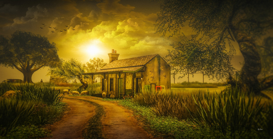 Lam Erin Photo-Image