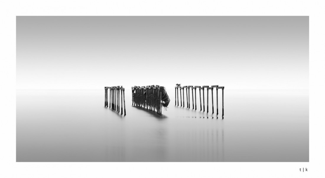 Under The Sign Of The White Rose Photo-Image