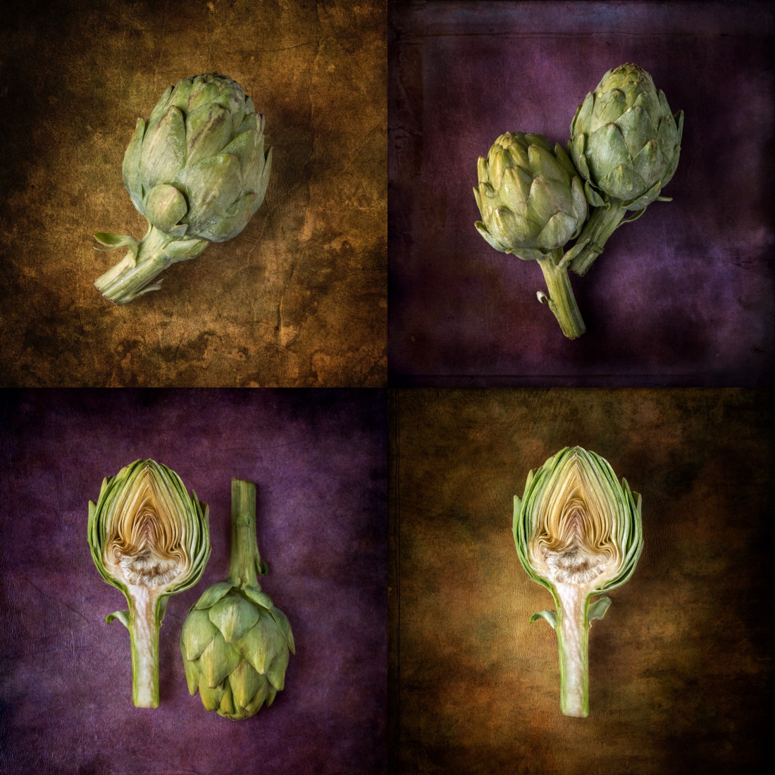 Sara Ghedina 1 Photo-Image