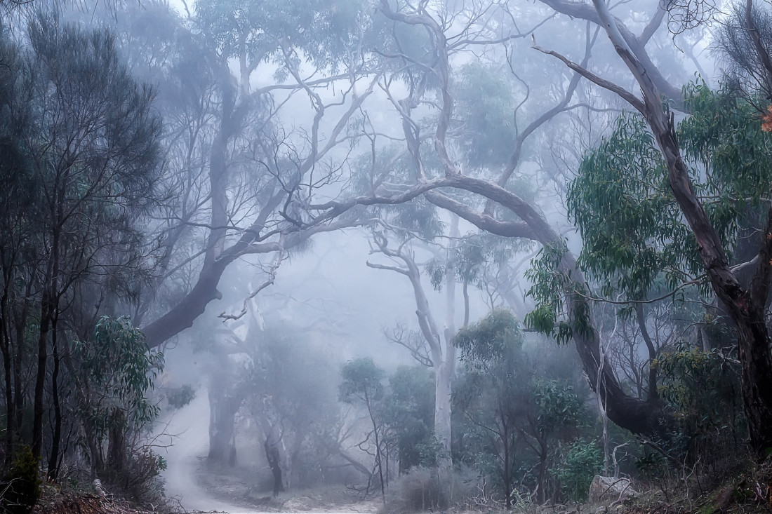 Neil Edwards Photo-Image