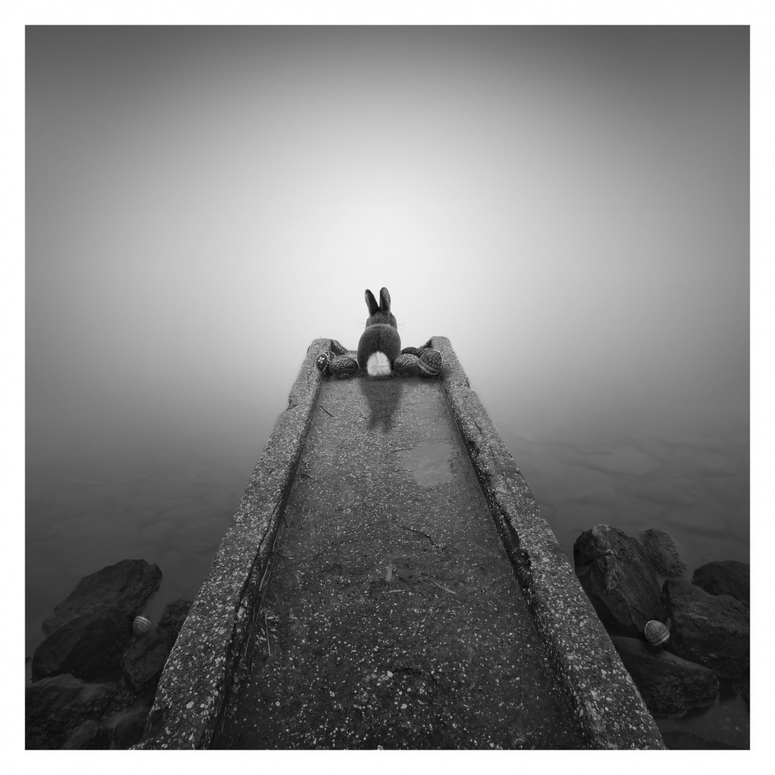 Marco Maljaars (flickr) Photo-Image