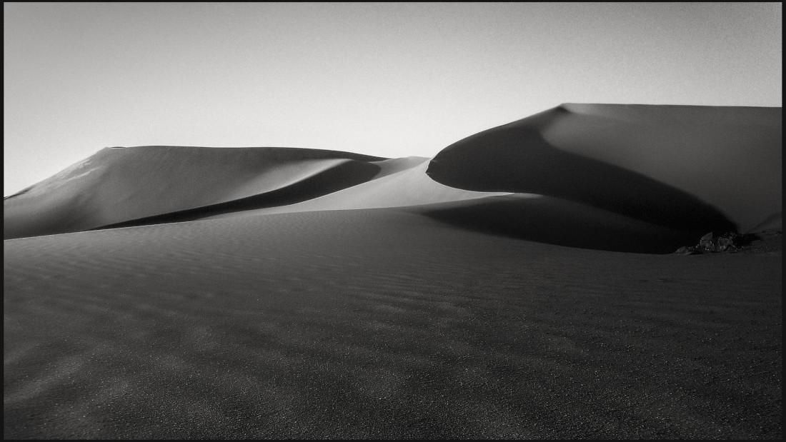 Under The Sign Of The White Rose Photo-Image