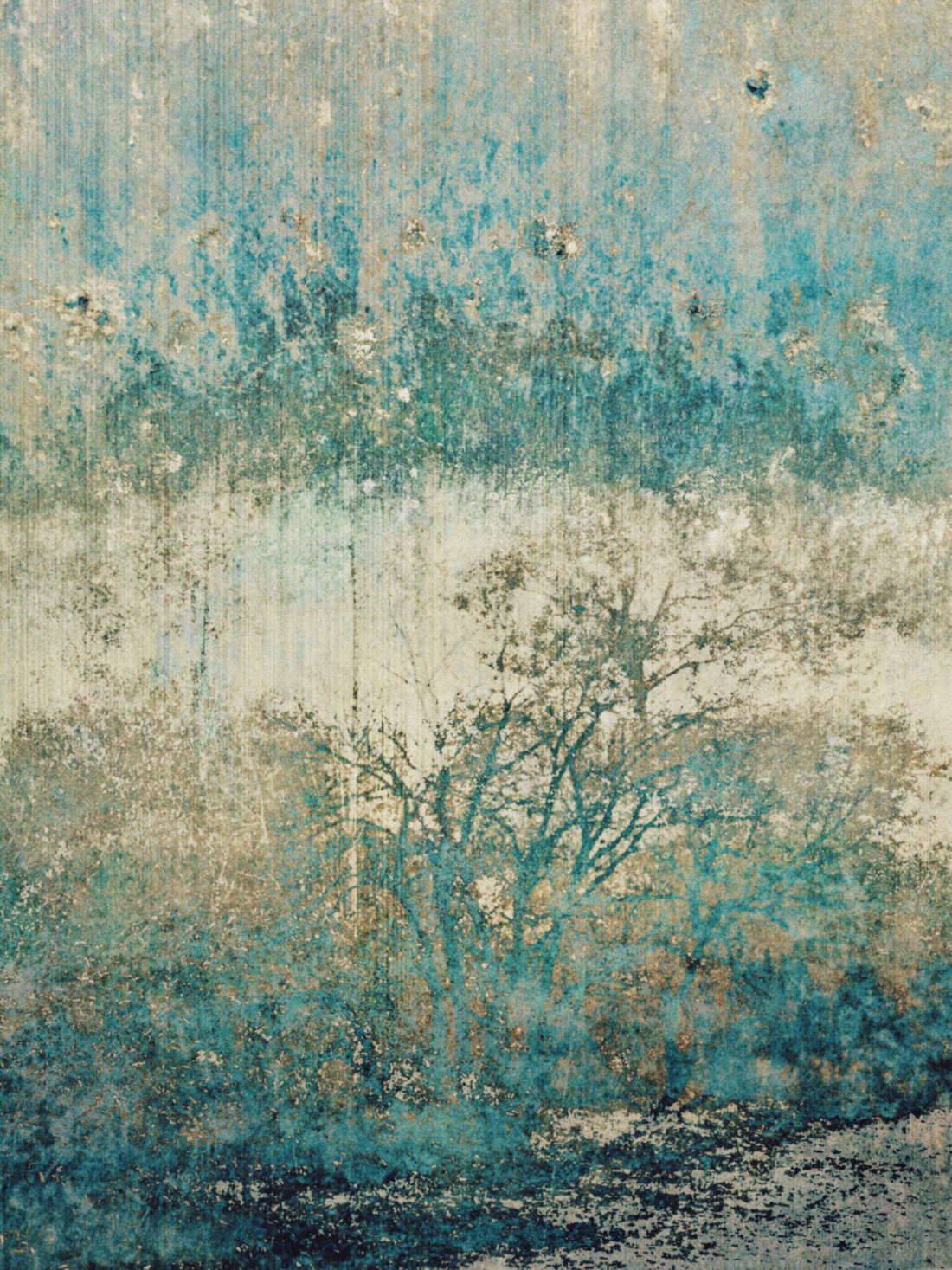 Eva Arendt Photo-Image