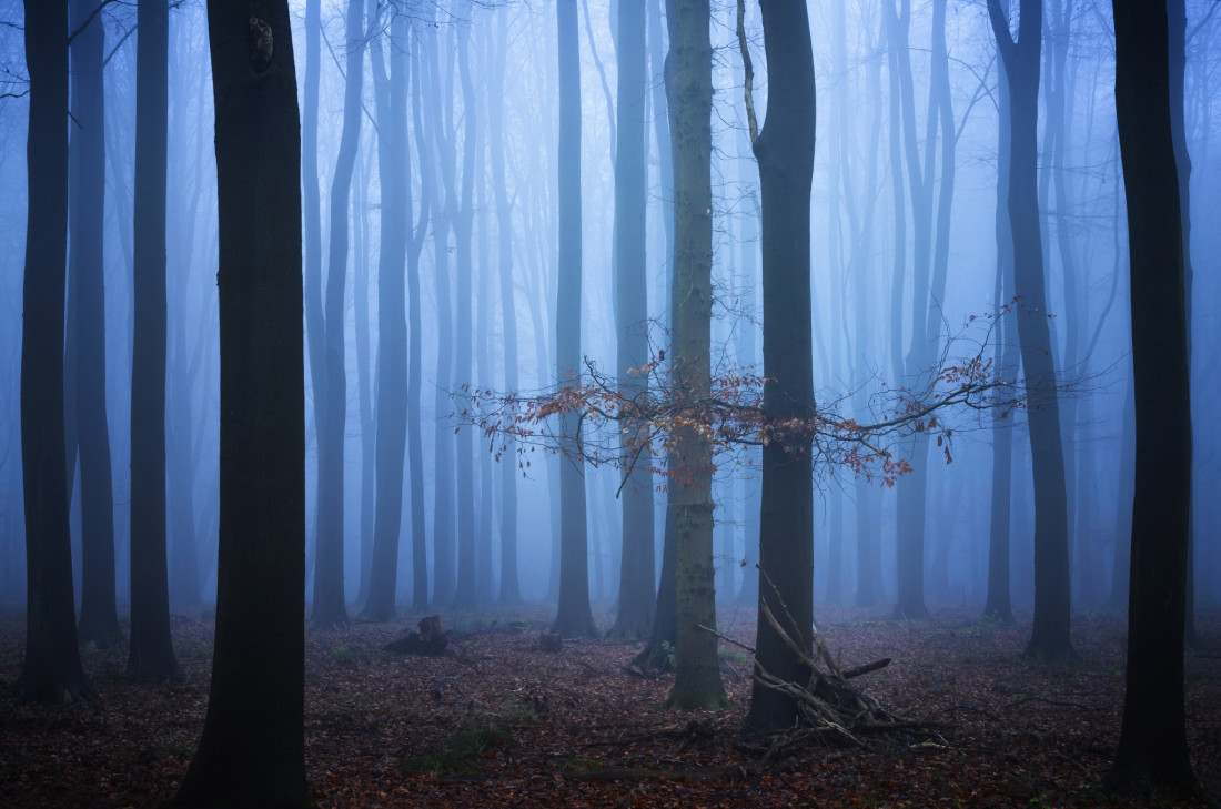 Flicker Image 4 Photo-Image