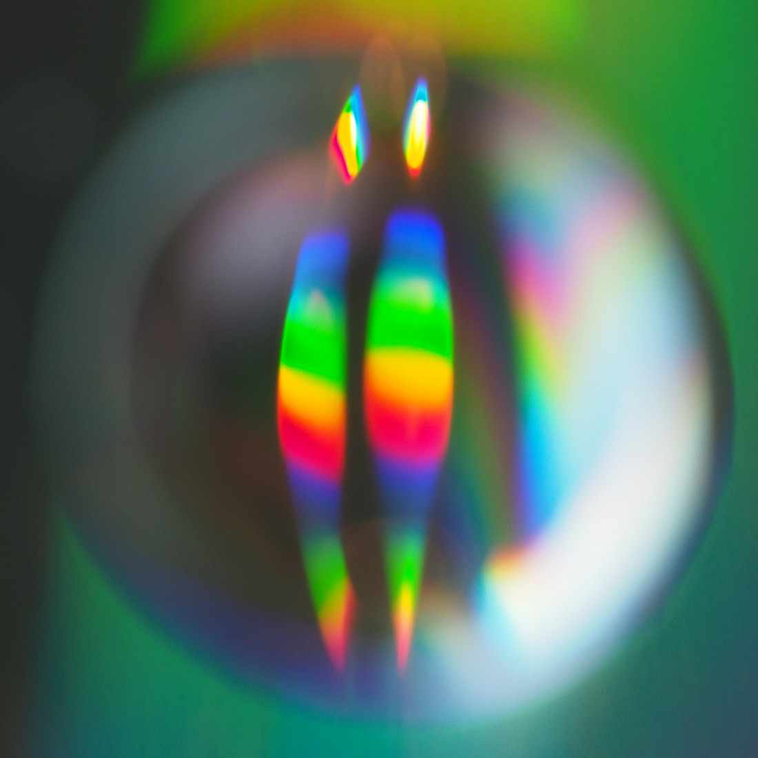 Niko Lohmann Photo-Image