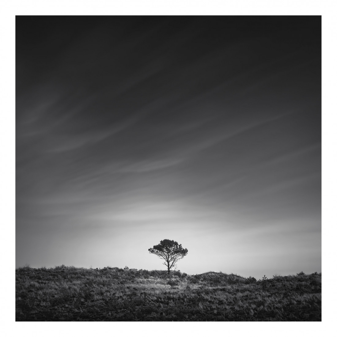 Marco Maljaars (flickr) Photo-Image