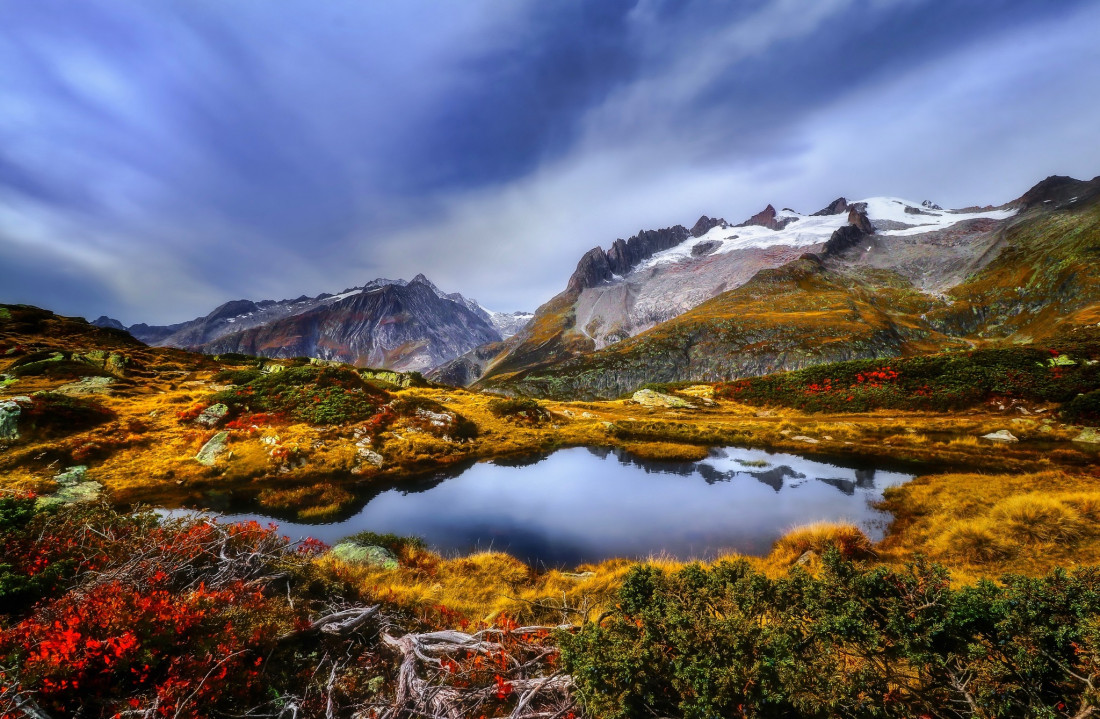 Sylvia Furrer 2 Photo-Image