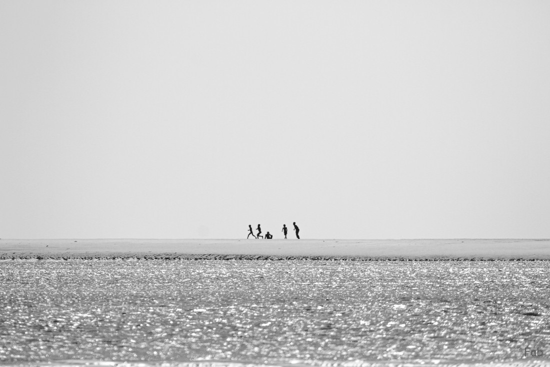 Under The Sign Of The White Rose Photo-Image