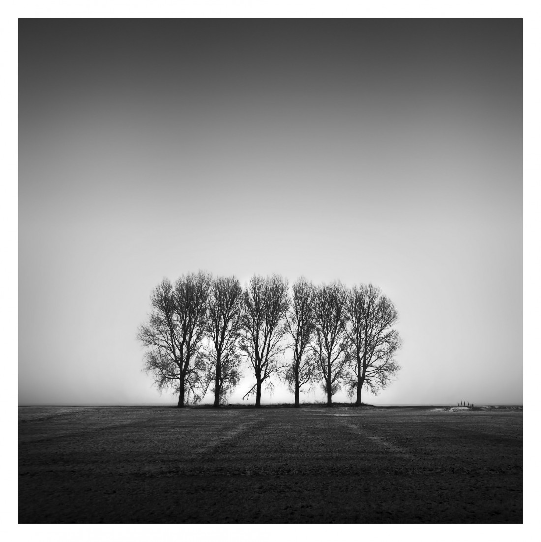 Marco Maljaars (flickr) Photo-Image