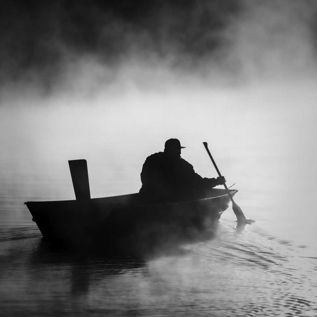 Under The Sign Of The White Rose Photo-Image