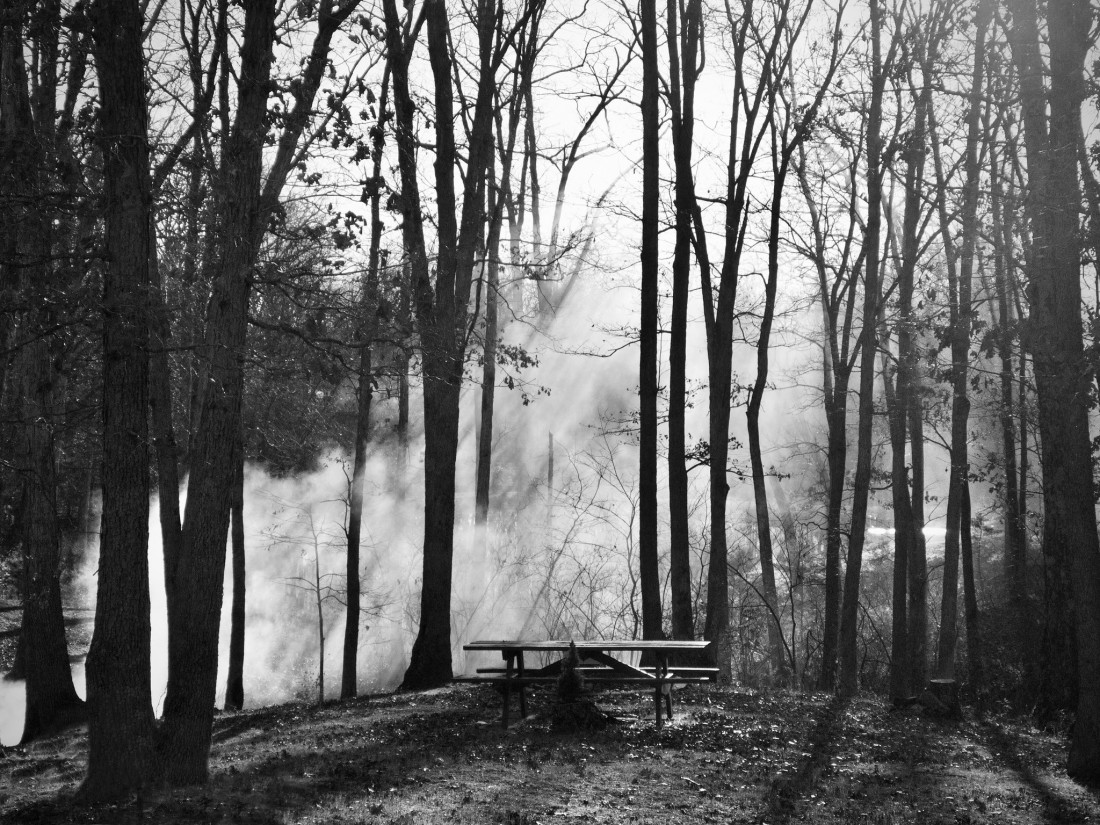 Flicker Image 4 Photo-Image