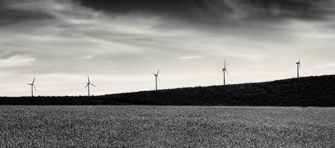 Under The Sign Of The White Rose Photo-Image