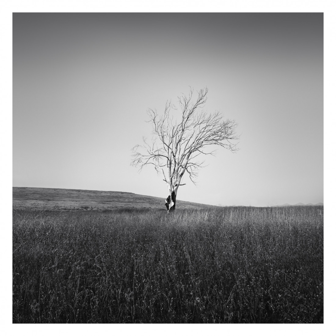 Marco Maljaars (flickr) Photo-Image