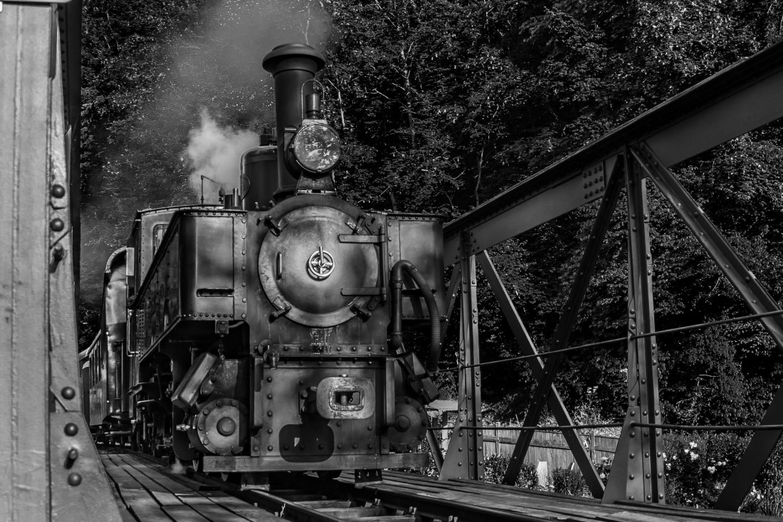 Flicker Image 4 Photo-Image