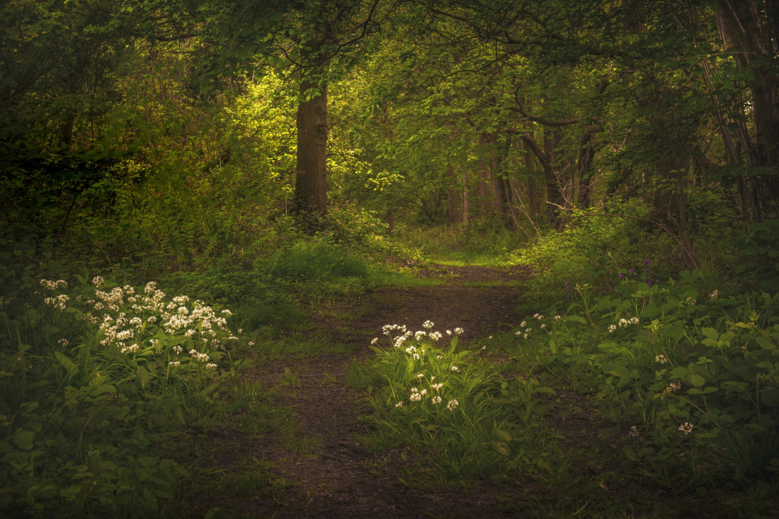 Paul Benns Photo-Image