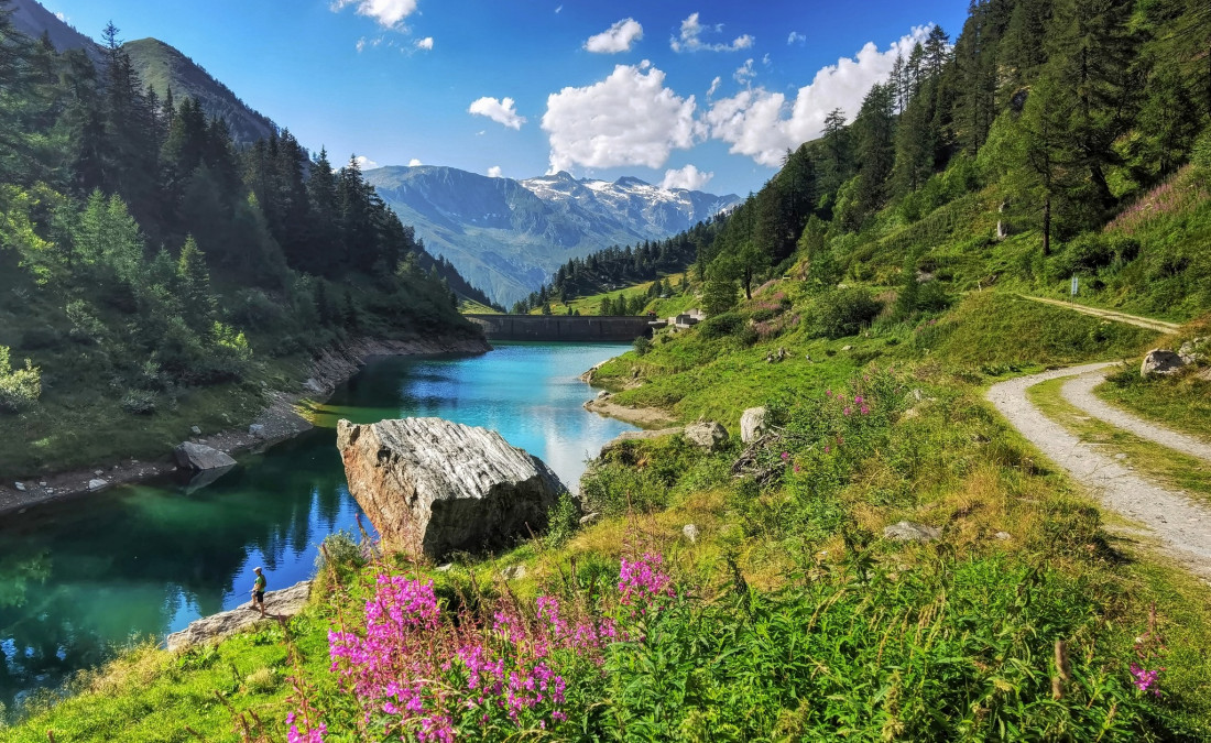 Alex Polli Photo-Image