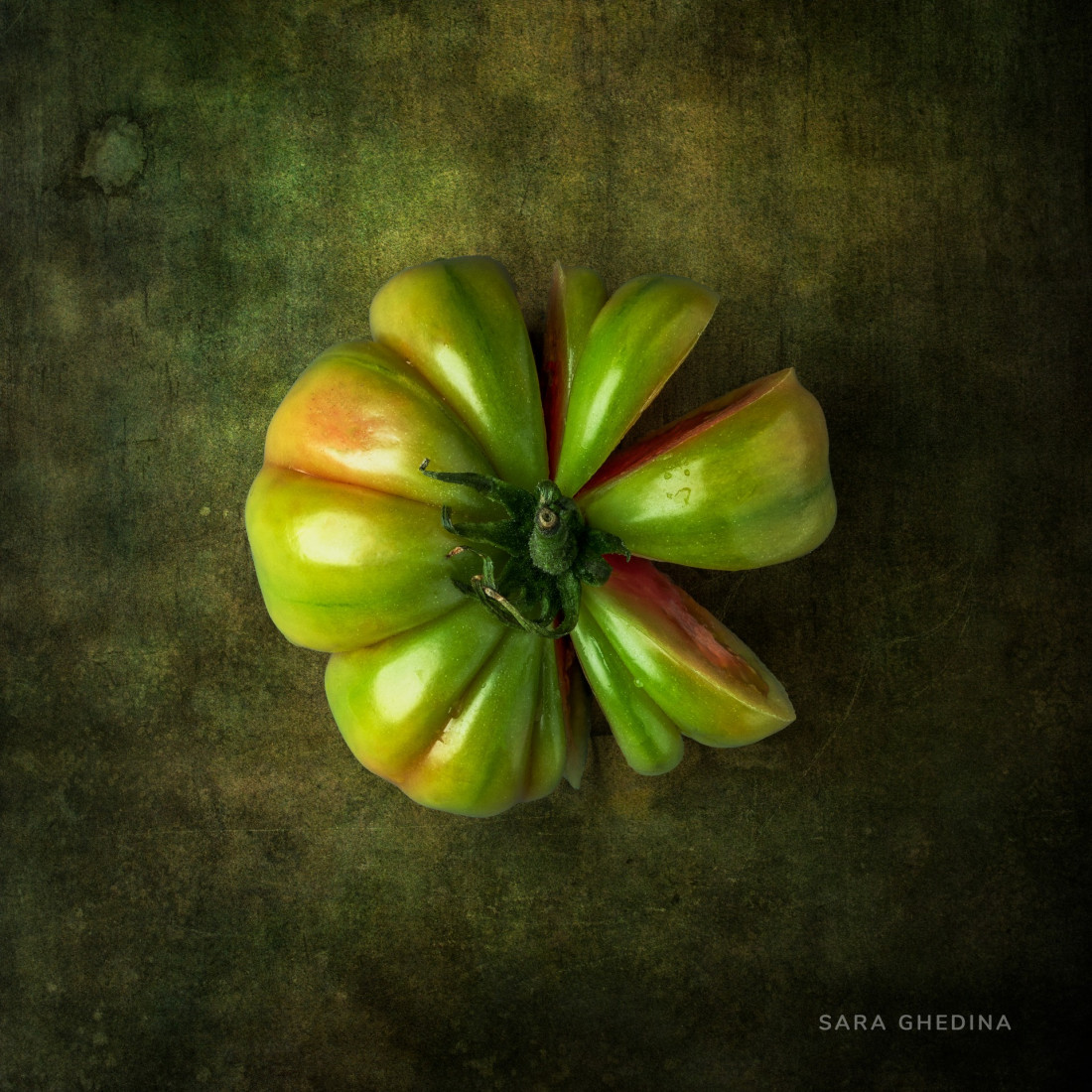 Sara Ghedina 1 Photo-Image