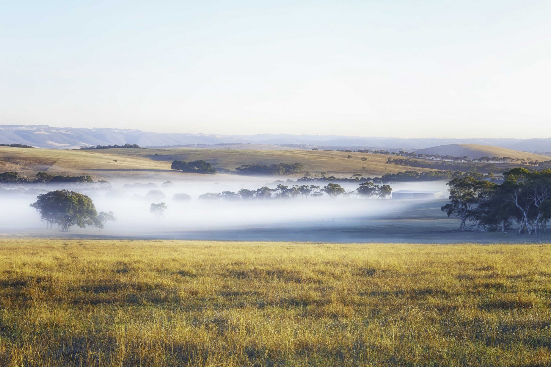 Neil Edwards Photo-Image