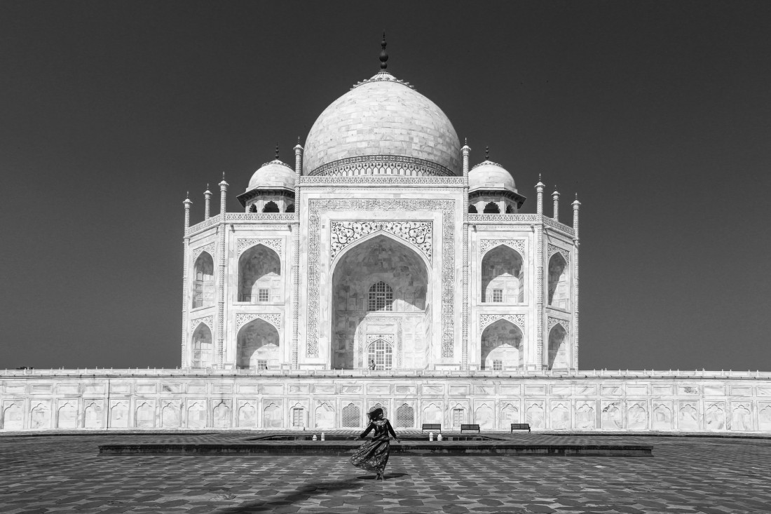 Under The Sign Of The White Rose Photo-Image