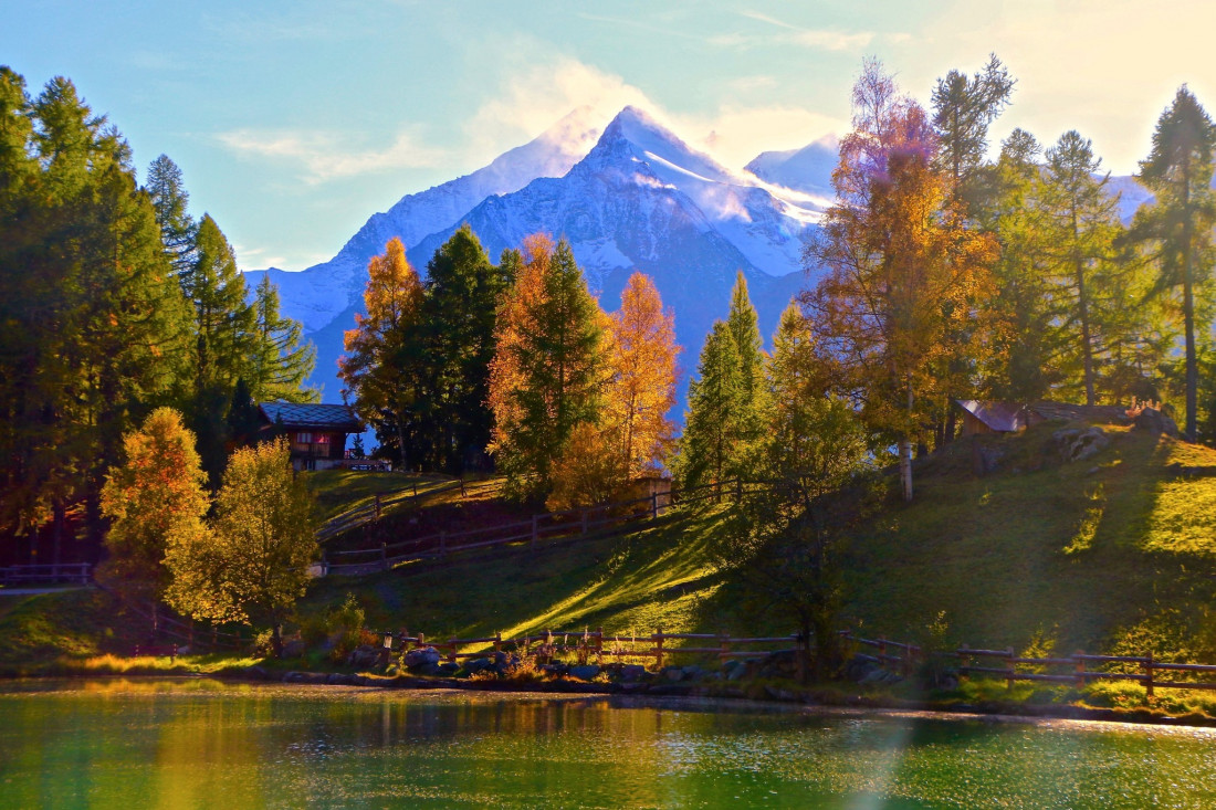 Sylvia Furrer Photo-Image