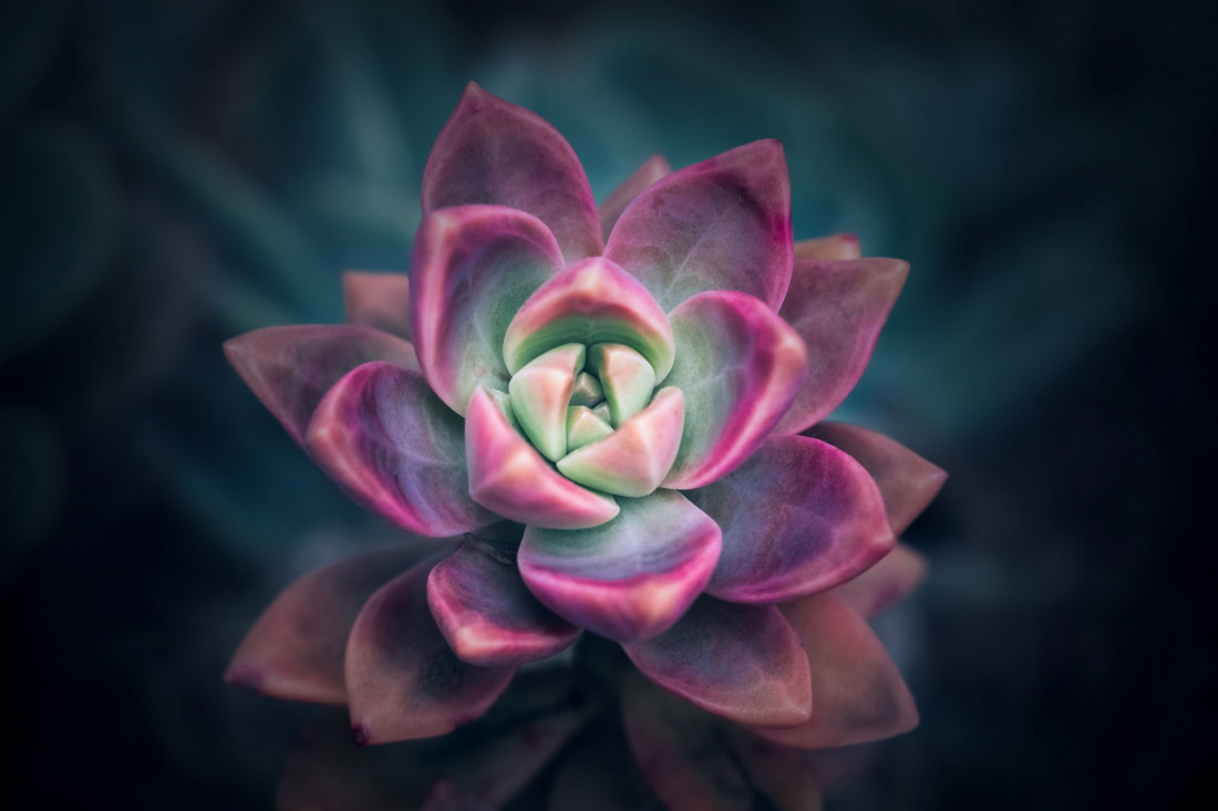 Sara Ghedina 2 Photo-Image