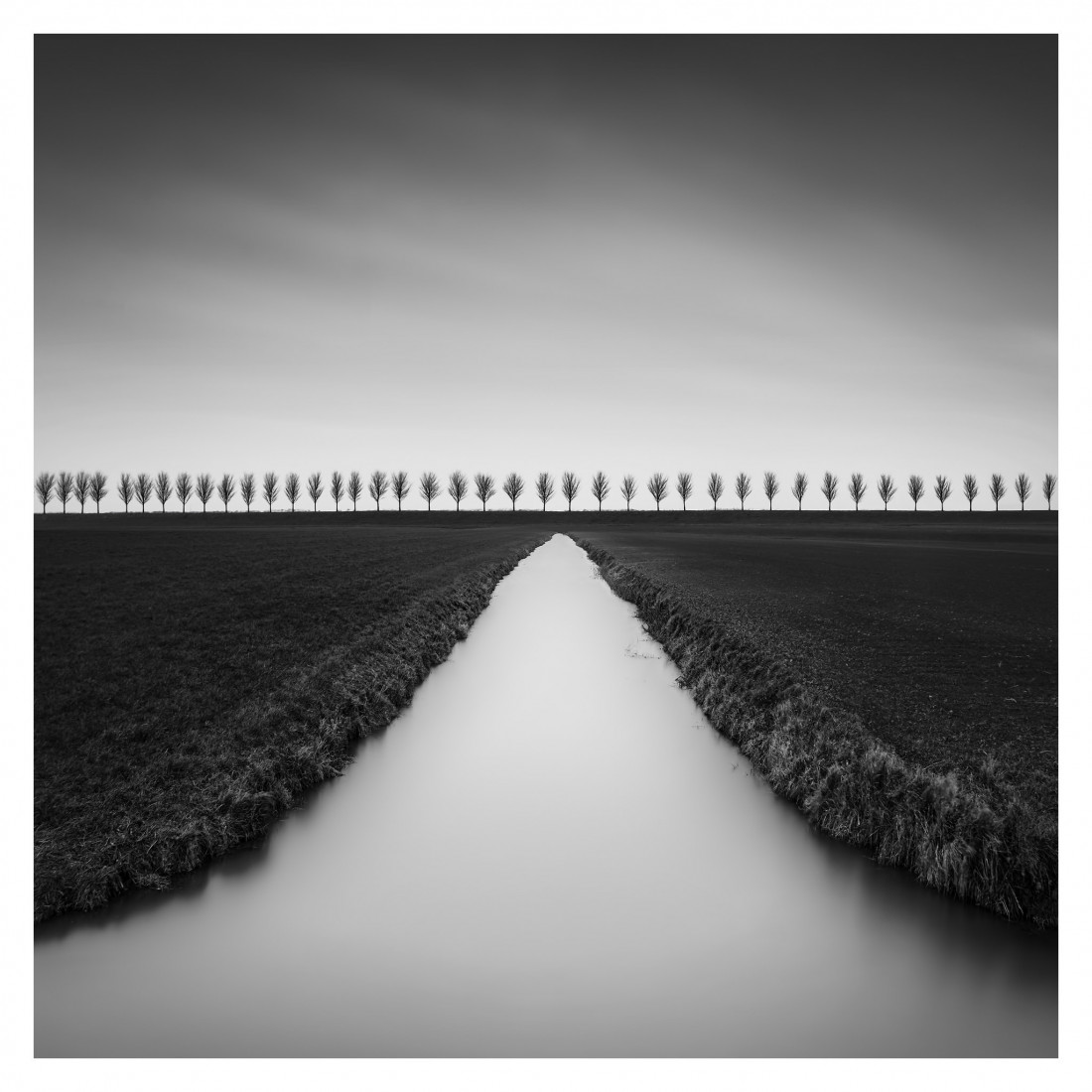 Marco Maljaars (flickr) Photo-Image