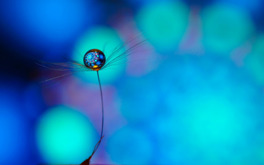 Flicker Image 3 Photo-Image