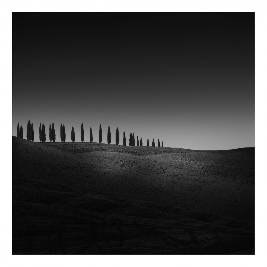 Marco Maljaars (flickr) Photo-Image