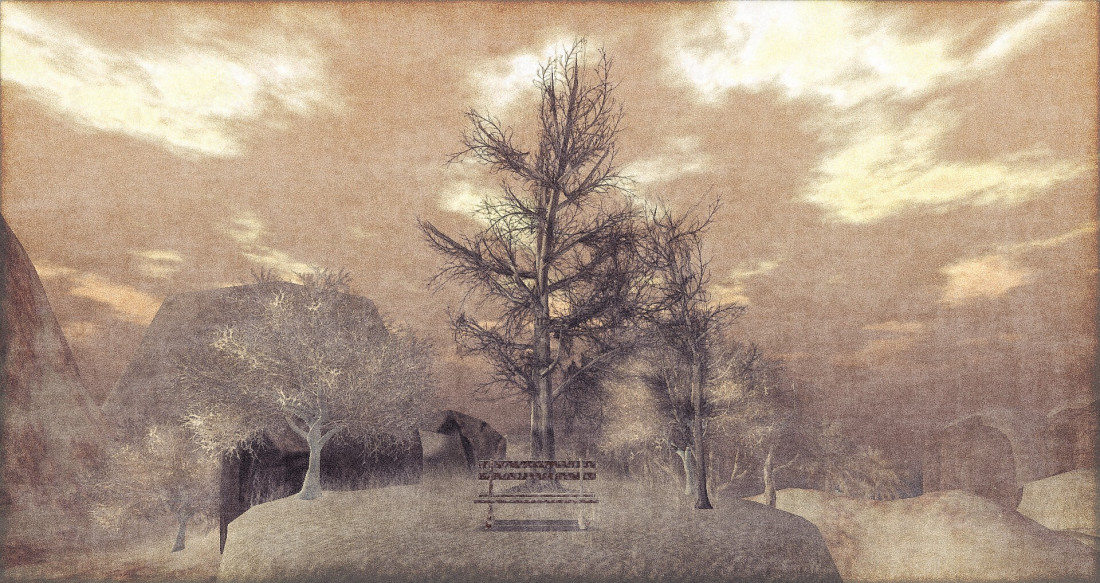 Lam Erin Photo-Image