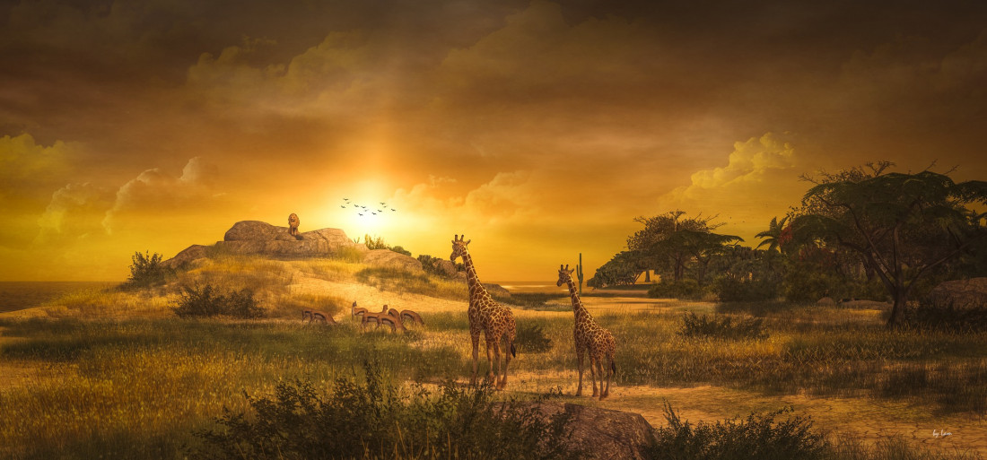 Lam Erin Photo-Image