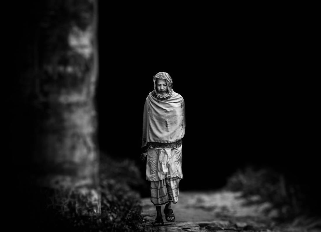 Under The Sign Of The White Rose Photo-Image
