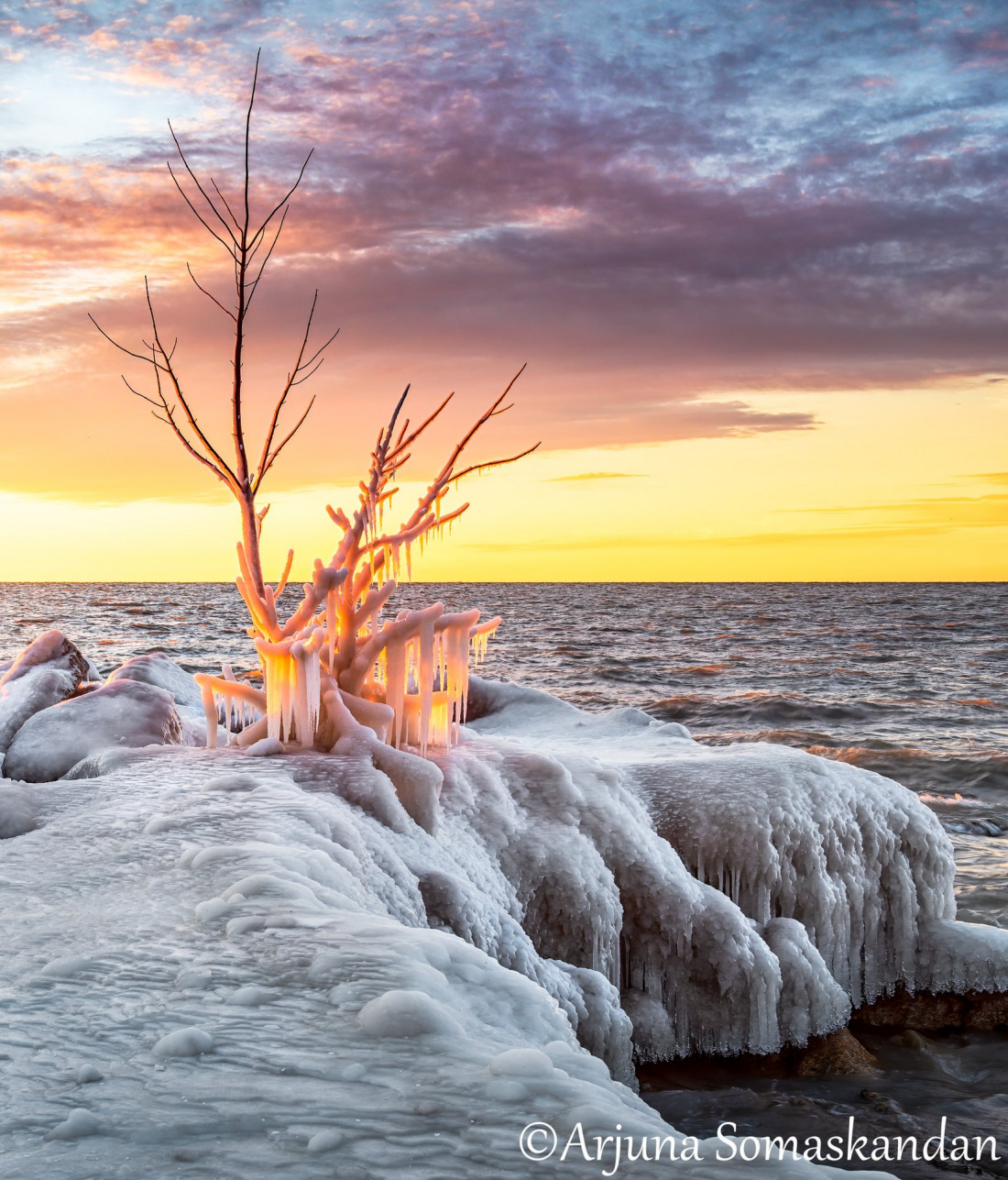 Flickr Image 1 Photo-Image