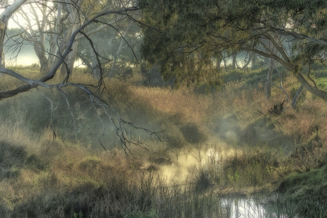 Neil Edwards Photo-Image