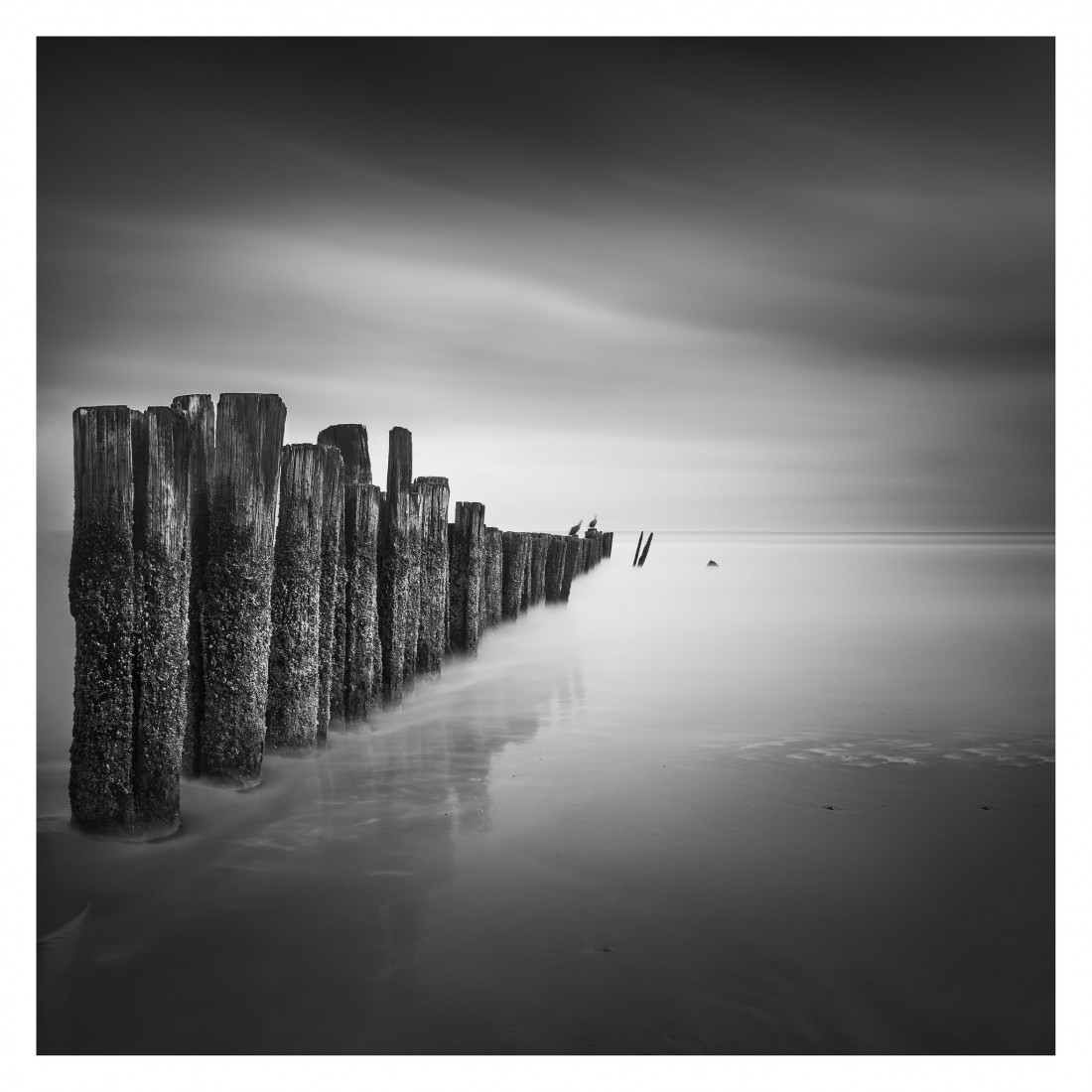 Marco Maljaars (flickr) Photo-Image