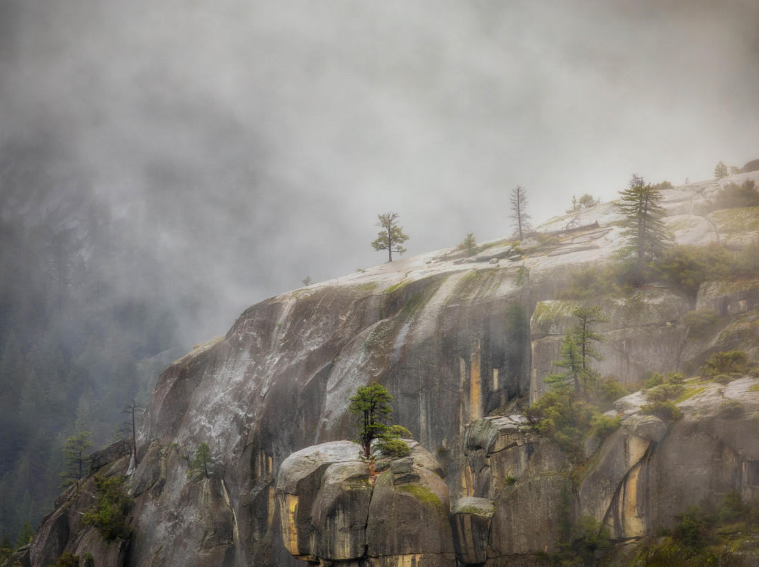 optimalfocusphotography Photo-Image