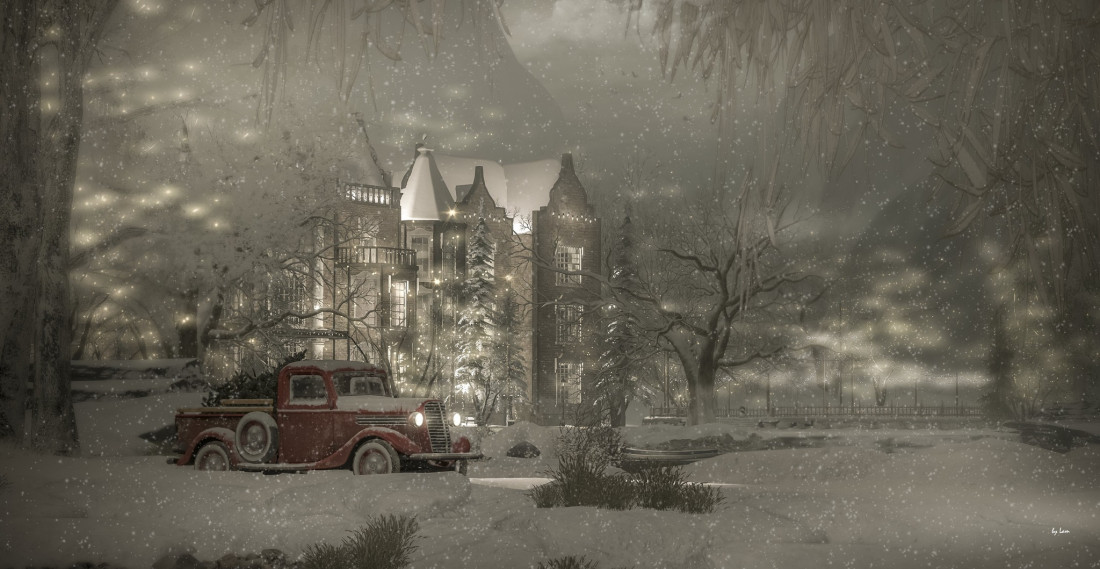 Lam Erin Photo-Image