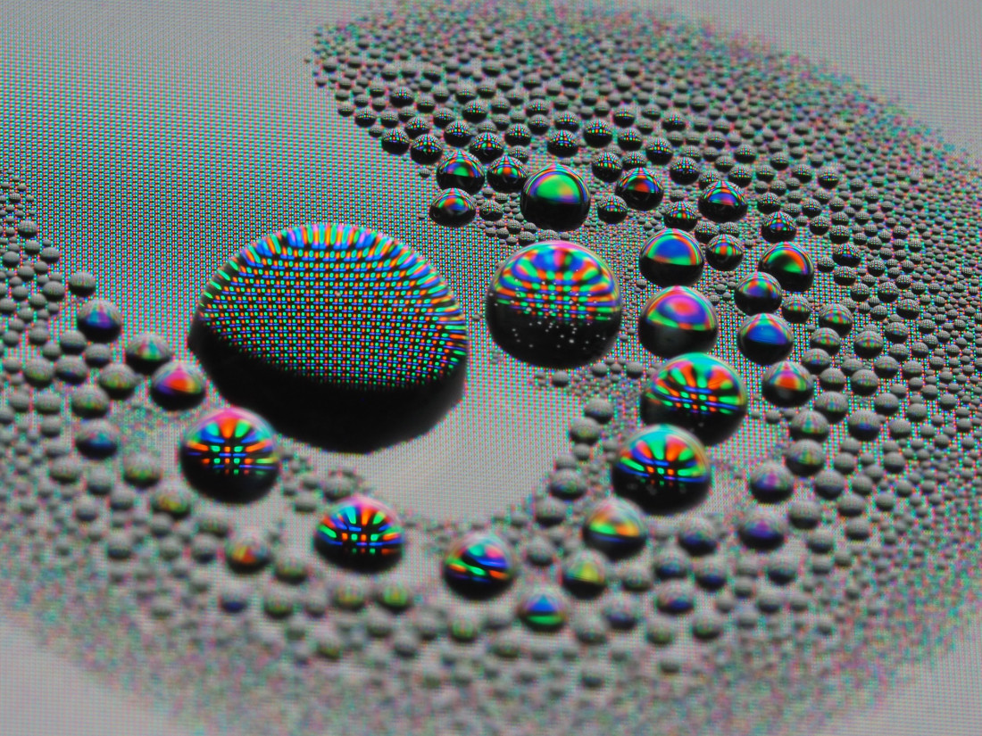 Niko Lohmann Photo-Image