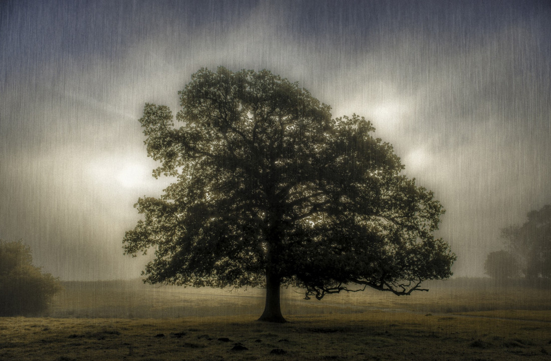 Paul Benns Photo-Image