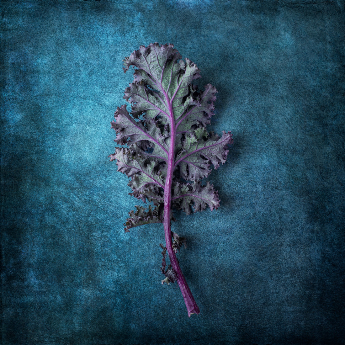 Sara Ghedina 1 Photo-Image