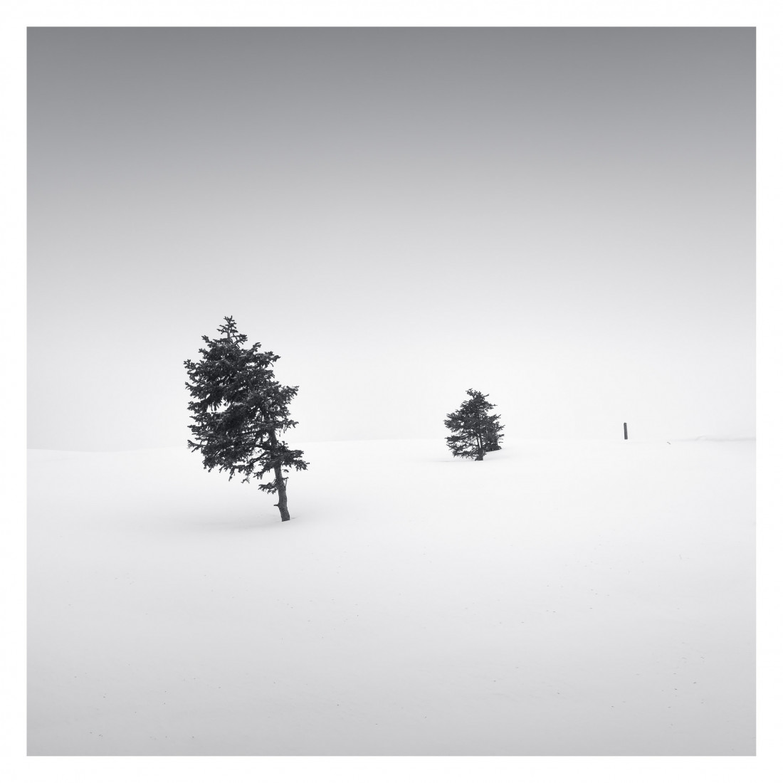 Marco Maljaars (flickr) Photo-Image