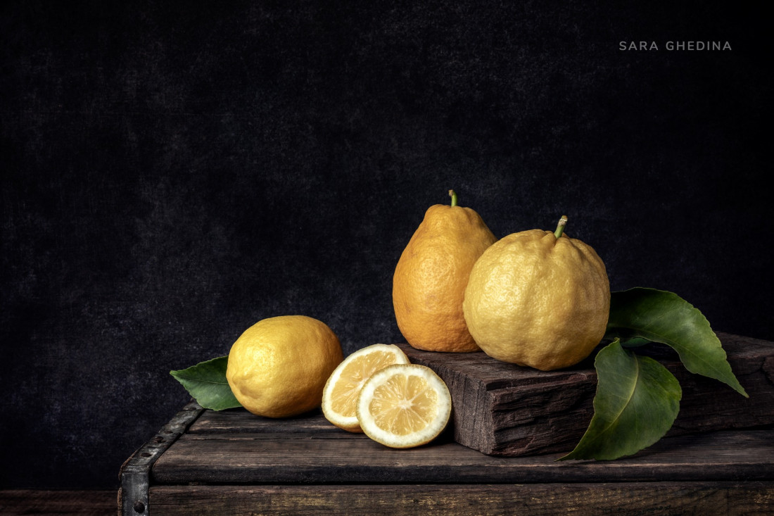 Sara Ghedina 1 Photo-Image